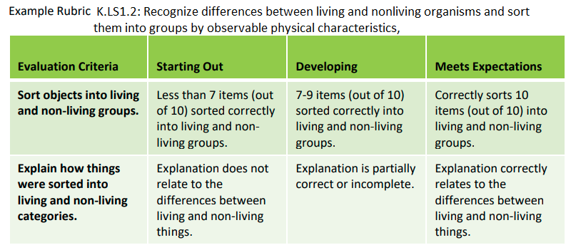 Rubric life science kindergarten